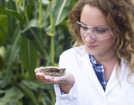 Female agronomist specialist examining soil sample for fertility potential.